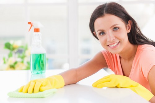Professional carpet cleaning in Swiss Cottage living room