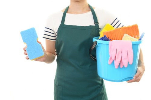 Professional upholstery cleaning for a sofa in Swiss Cottage