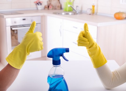 Local mattress cleaning service for Swiss Cottage residents