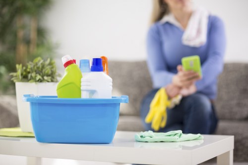 Deep rug cleaning removes stains and dust in Swiss Cottage