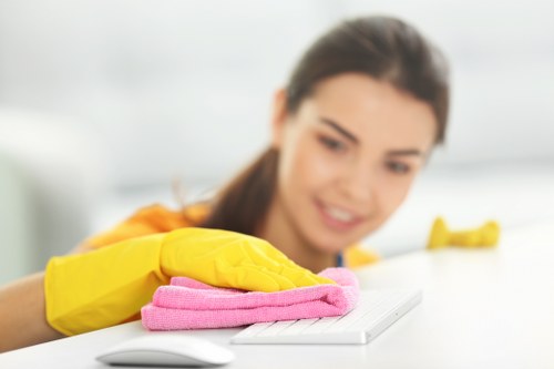 Technician performing deep sofa cleaning in a Swiss Cottage home