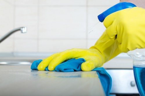 Supplier compliance review and audit process