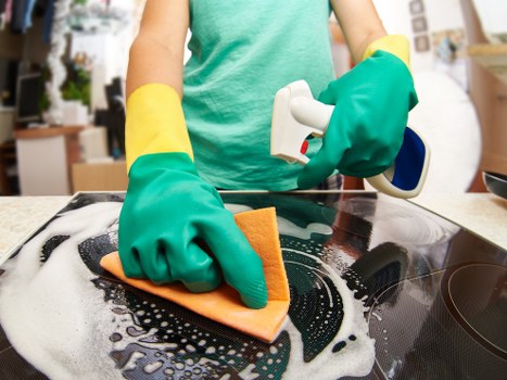 Deep extraction cleaning for pet odour removal in a Swiss Cottage home