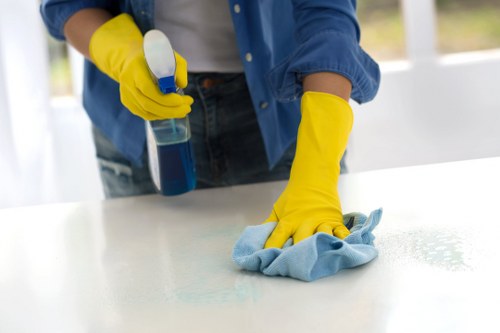 Cleaner carpets after pet stain odour removal service in Swiss Cottage
