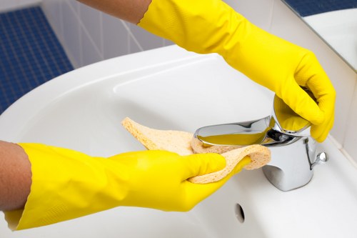 Steam cleaning a mattress for allergen removal
