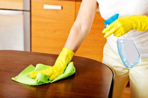 Trusted Swiss Cottage Carpet Cleaners providing professional care for a refreshed carpet